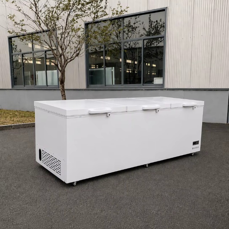 ตู้แช่แข็งแบบเปิดด้านบน ประตูเ - Commercial Chest Freezer บทวิจารณ์และราคา