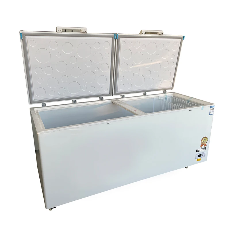 # ตู้แช่แข็งขนาดใหญ่ 1300 ลิตร - Commercial Chest Freezer บทวิจารณ์และราคา