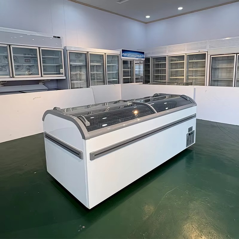 ตู้แช่แข็งแบบมีฝากระจก ใช้สารท - Commercial Chest Freezer บทวิจารณ์และราคา