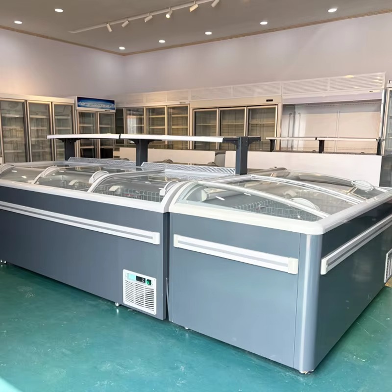 ตู้แช่แข็งแบบมีฝากระจก ใช้สารท - Commercial Chest Freezer บทวิจารณ์และราคา